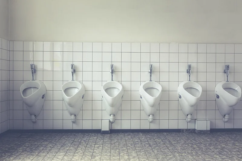 Pourquoi ai-je des vers dans les toilettes ?