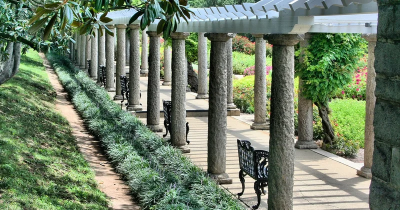 Pergola Brico Dépôt bois ou aluminium : lequel choisir ?
