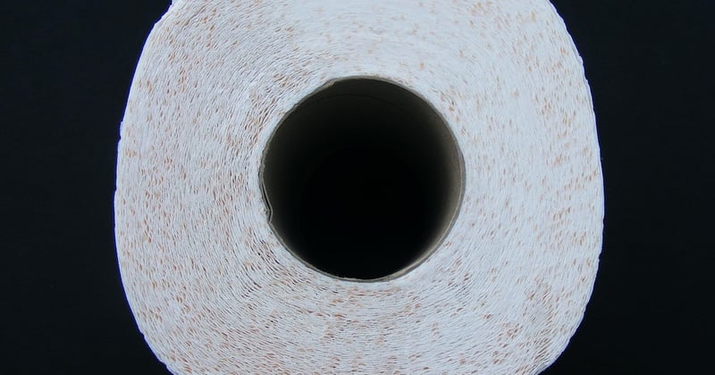 Vers noir toilette : comment s'en débarrasser efficacement
