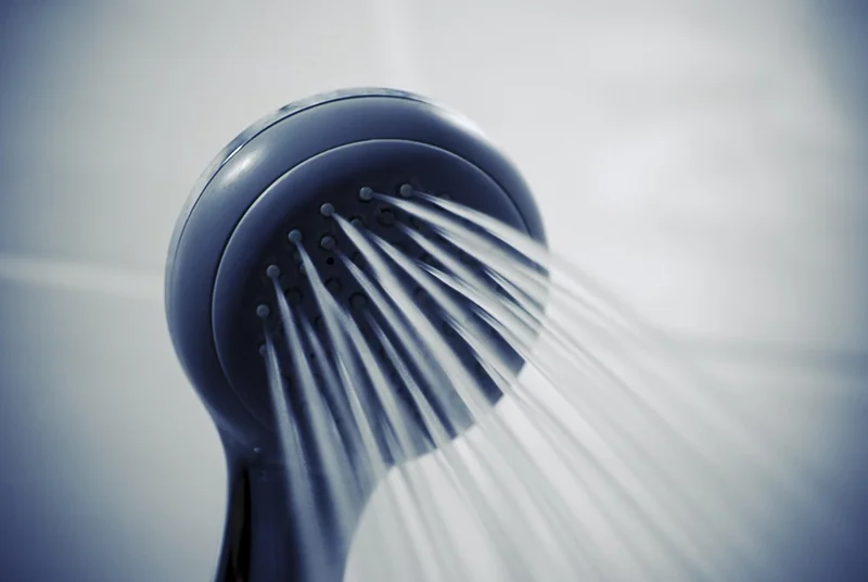 Comment éliminer les vers noirs dans les toilettes ?