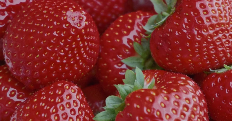 Pourquoi une fraise n'est pas vraiment un fruit