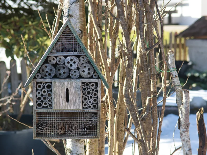 Qu'est-ce qu'un matériau écologique pour la maison ?