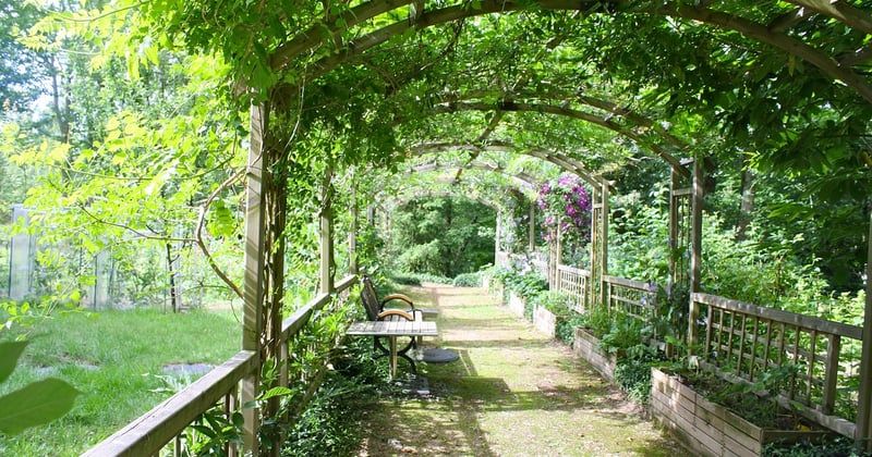Pergola Brico Dépôt : le guide pour bien choisir et payer moins cher