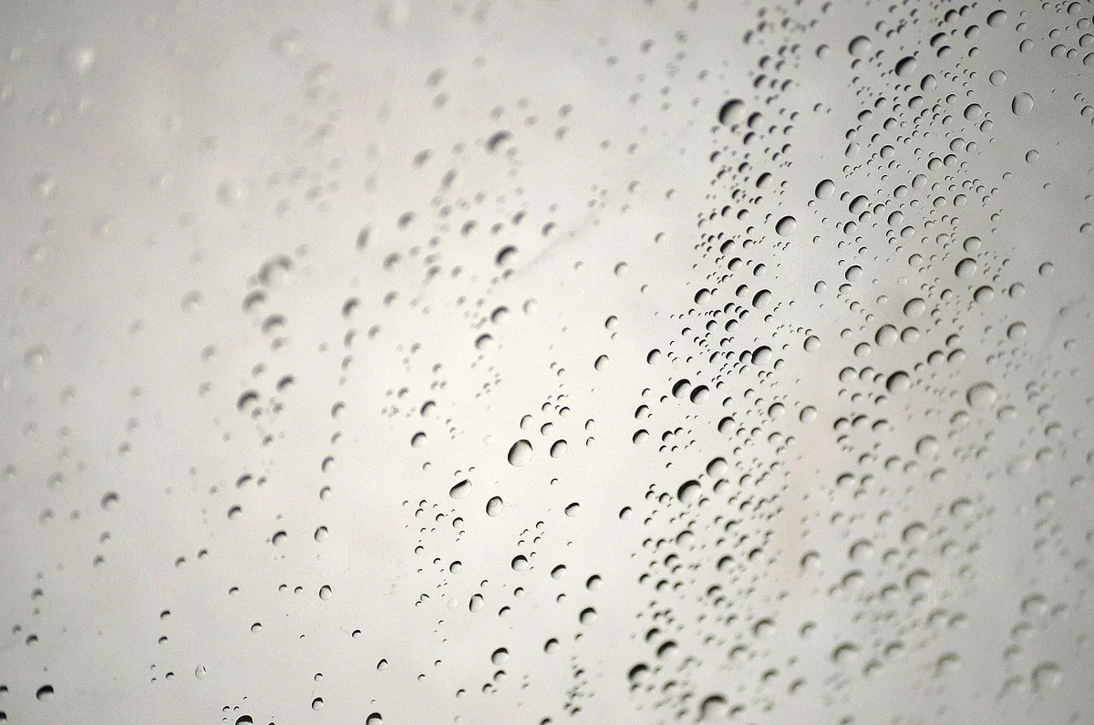 Le problème n°1 : l'humidité et la moisissure