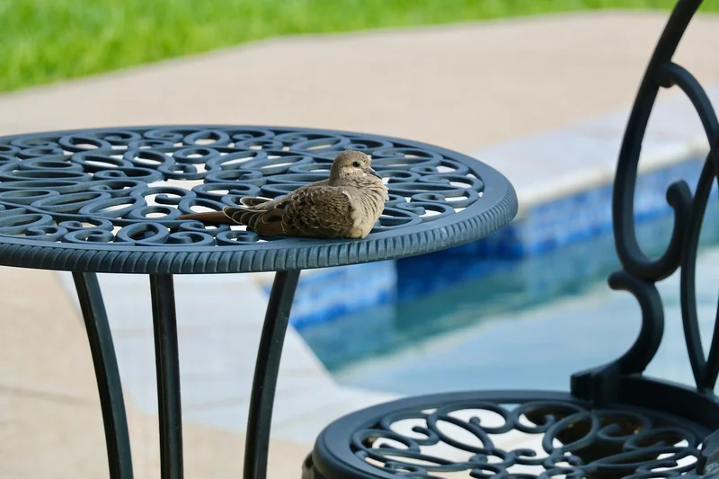 Comment habiller le contour de ma piscine hors-sol ?